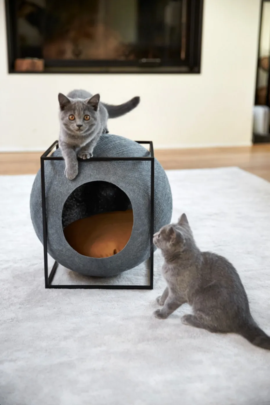 Des produits pour chats design par Meyou — photo 2
