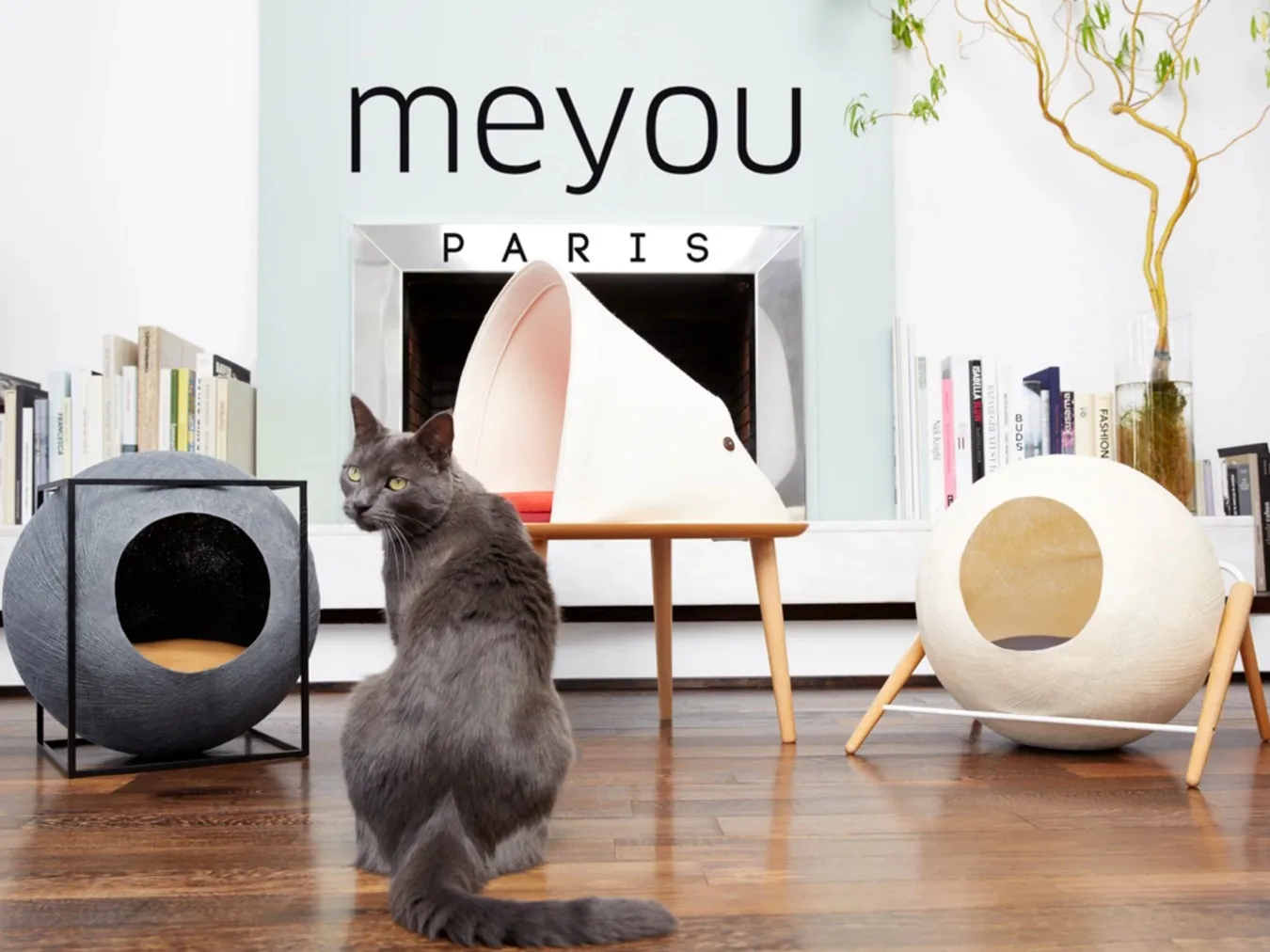 Des produits pour chats design par Meyou — photo 1