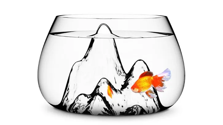 Aquarium Fishscape par Aruliden — photo 2