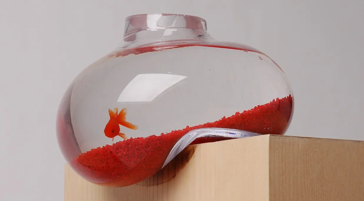 Aquarium par Psalt Design — photo 1