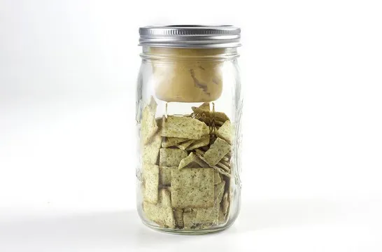 BNTO jar lunchbox par Cuppow — photo 1