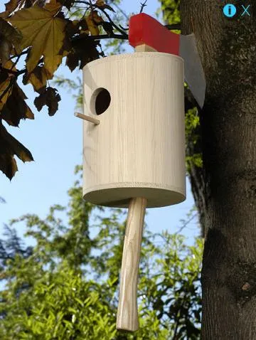 bird-house
