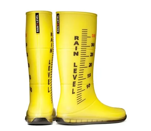 Bottes RainLevel par Regina Regis — photo 2