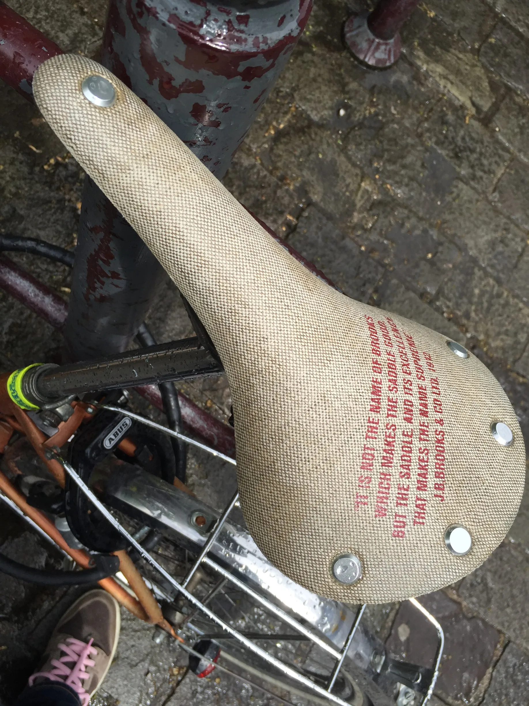 Test de la selle de vélo Brooks Cambium C17 — photo 7