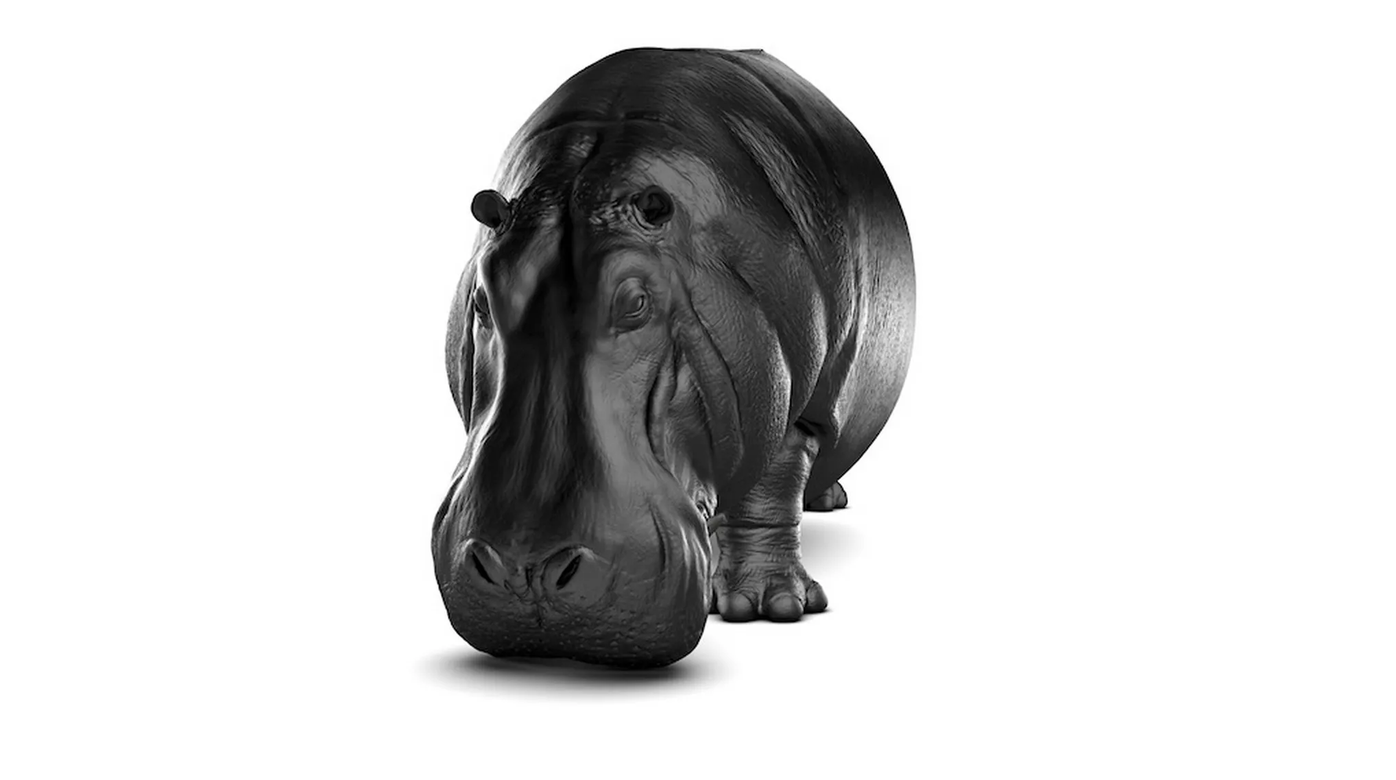 Canapé Hippopodamus par Max Riera — photo 1