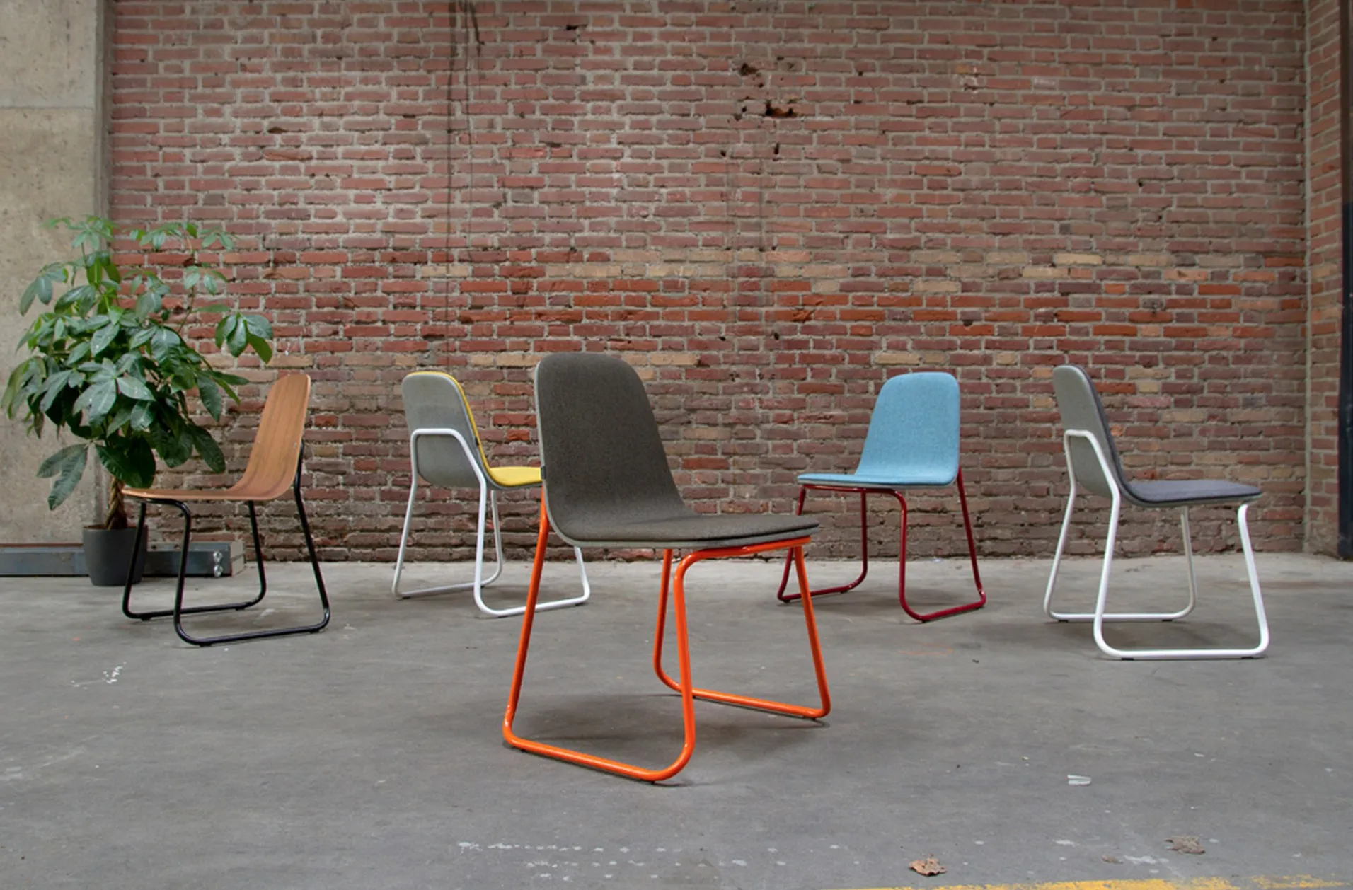 Chaise SIREN par Jacob Nitz — photo 2