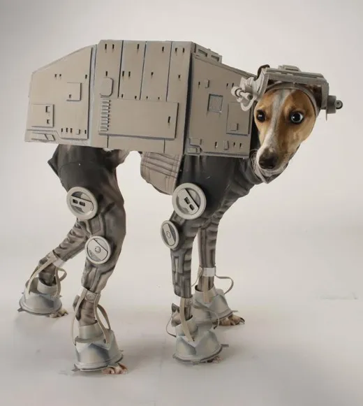 Costume Star Wars pour Chien par Katie Mello — photo 1