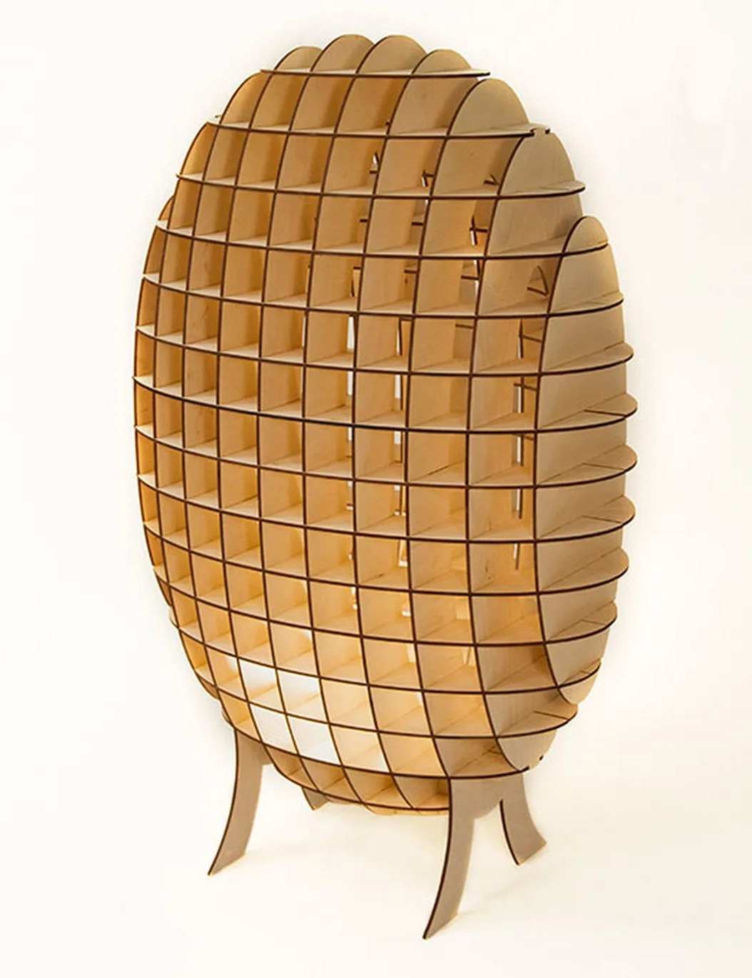 Lampe Lampyridae par Monica Correia — photo 2