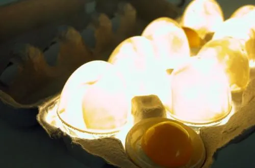lampe oeuf