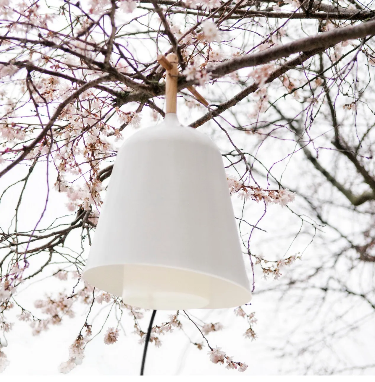 Lampe Sous mon arbre par Florian Brillet — photo 3