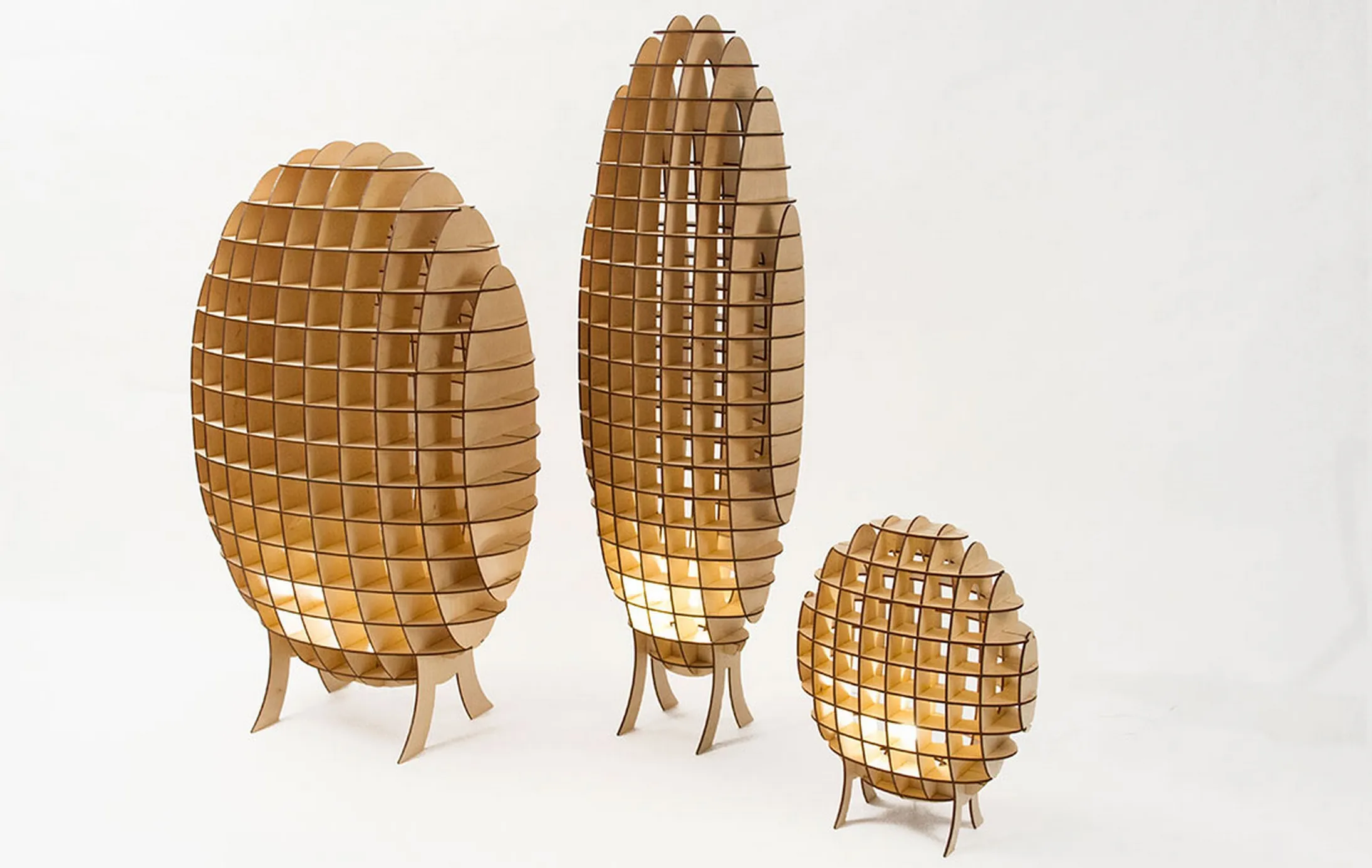 Lampe Lampyridae par Monica Correia — photo 3