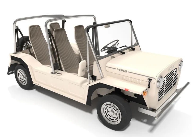 Mini Moke par Mickael Young — photo 1