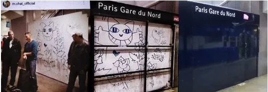 Mr Chat risque 3 mois de prison ferme — photo 1