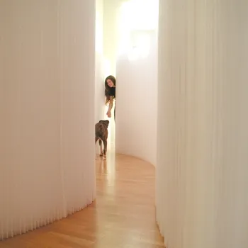 mur en papier