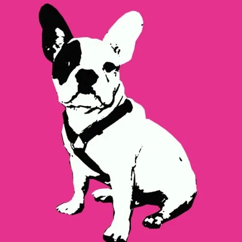 pop art tableau photo