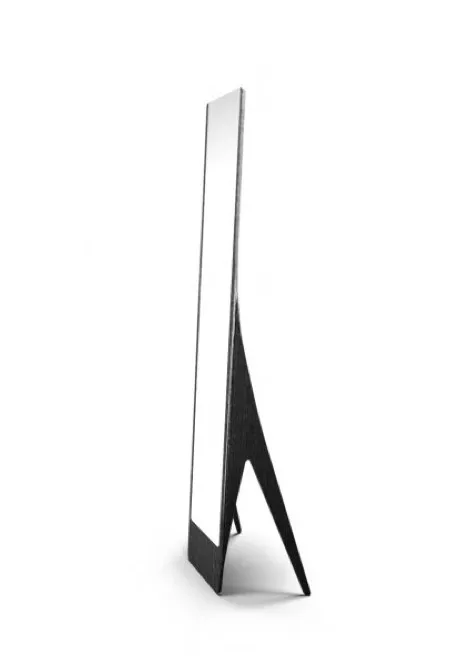 psyche-mirroir-2