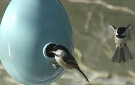 cabane à oiseaux
