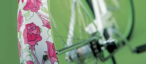 Electra Bike