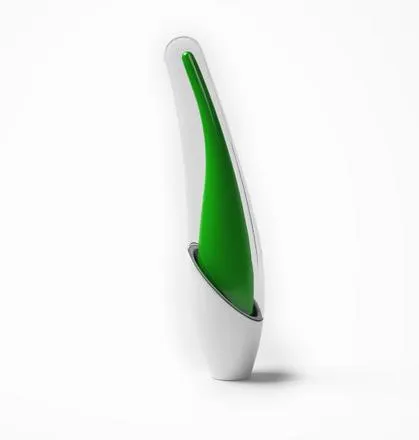 Quand le sex toy devient objet de décoration — photo 1