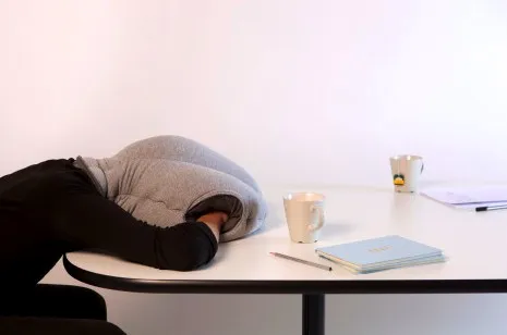 Dormir tranquillement au bureau! — photo 2