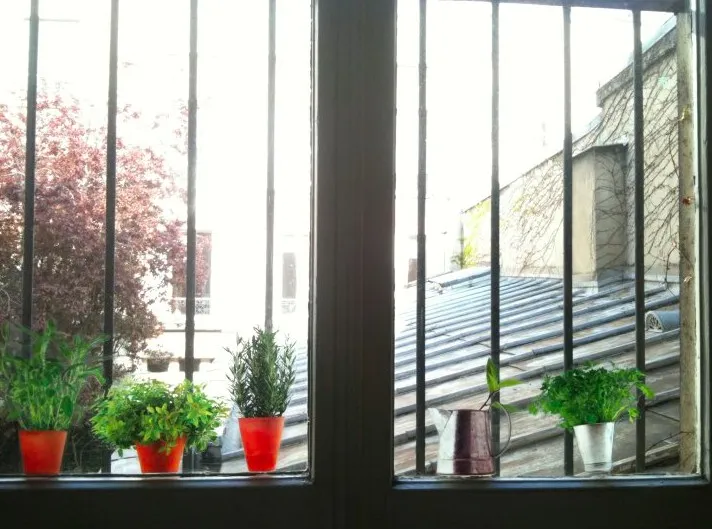 Stickers pour fenêtres — photo 2