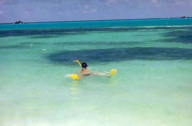 Envoyez moi aux maldives... — photo 1
